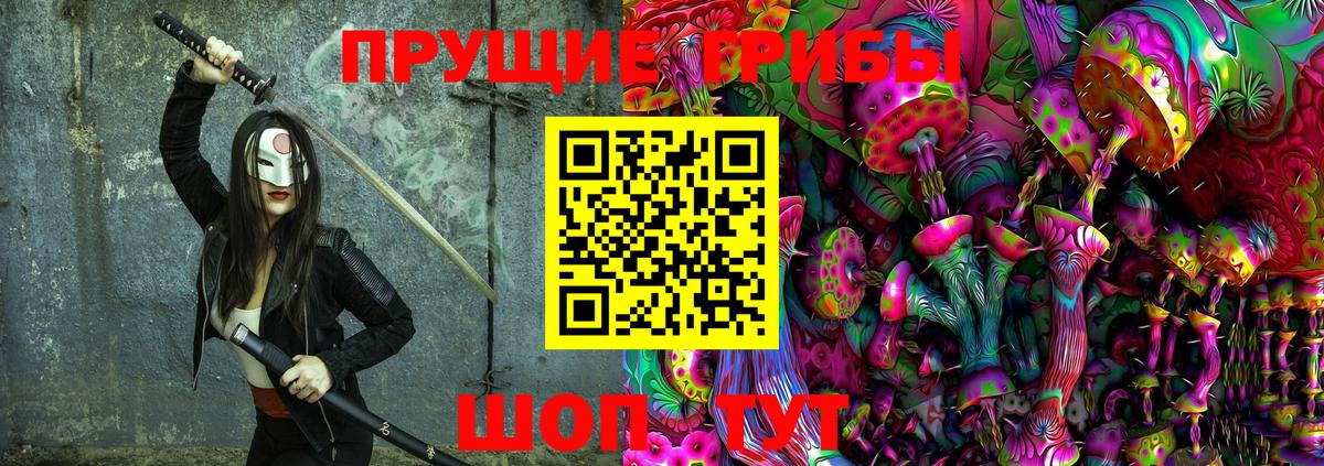 Заречный  Галлюциногенные грибы прущие грибы  что такое   Вход с VPN 